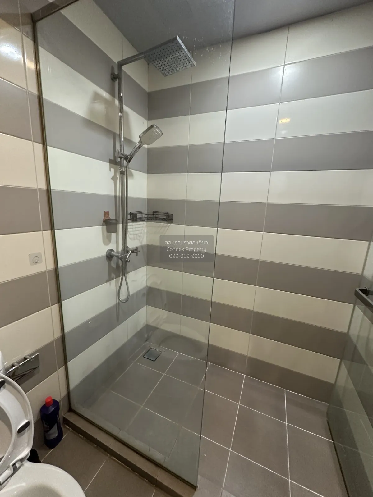 เช่าคอนโด  ซีล บาย แสนสิริ BTS-เอกมัย คลองตันเหนือ เขต วัฒนา กรุง