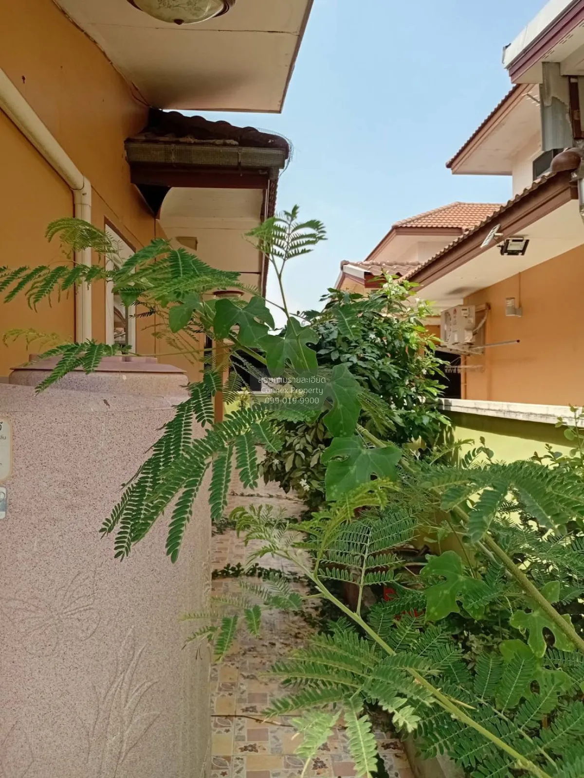 ขายบ้าน  บ้านเฟื่องสุข 5 ห้องมุม หน้ากว้าง บางบัวทอง บางบัวทอง นน