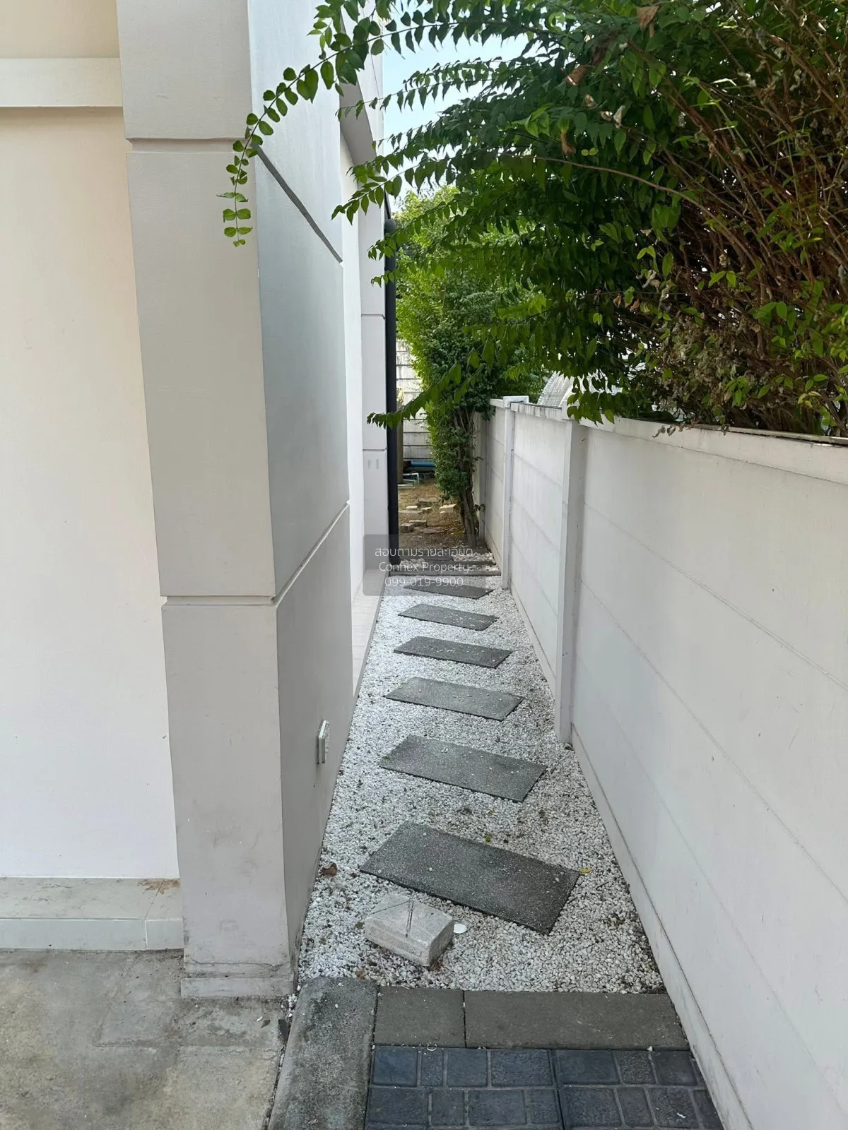 เช่าบ้าน  เซนโทร ชัยพฤกษ์-แจ้งวัฒนะ คลองพระอุดม ปากเกร็ด นนทบุรี  3