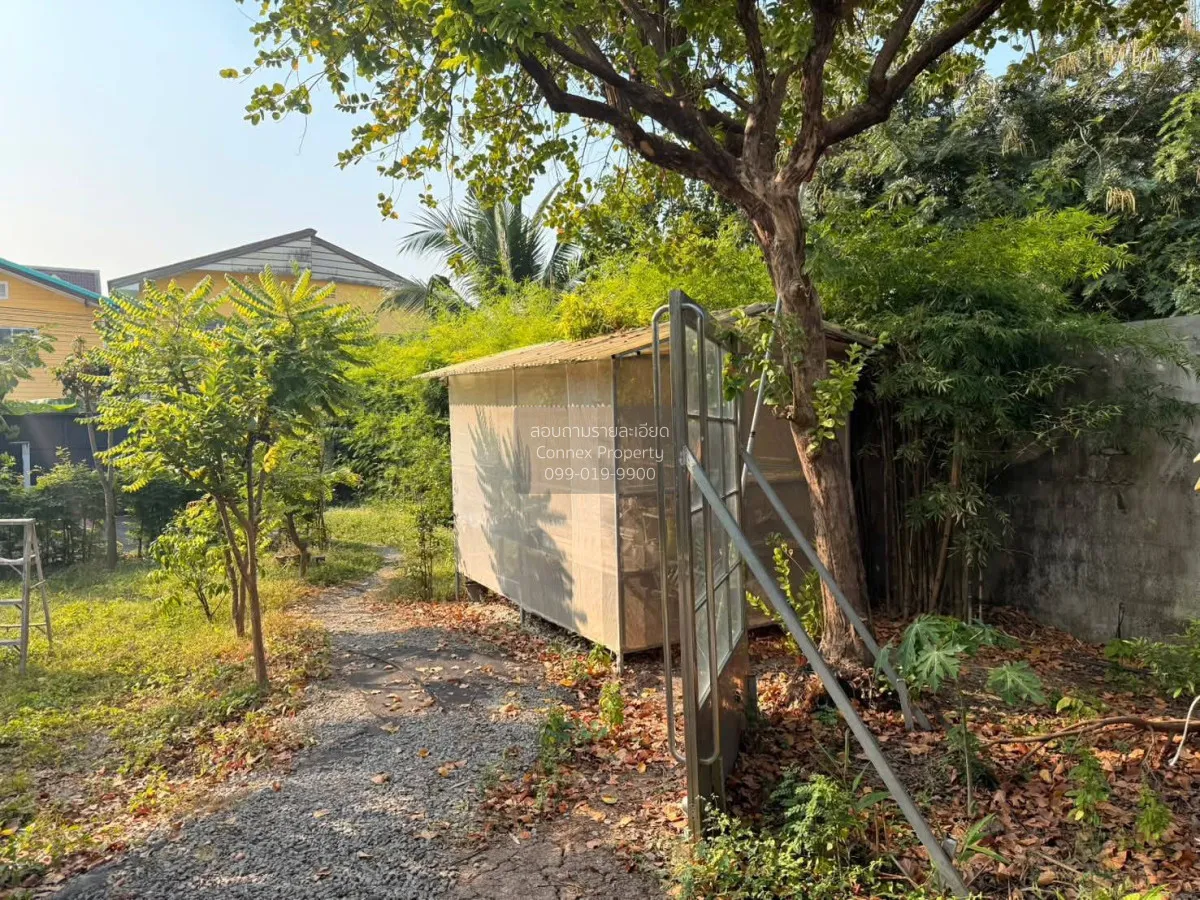 ขายที่ดิน พร้อมสิ่งปลูกสร้าง ประชาชื่น  บางเขน เมืองนนทบุรี นนทบุ 4