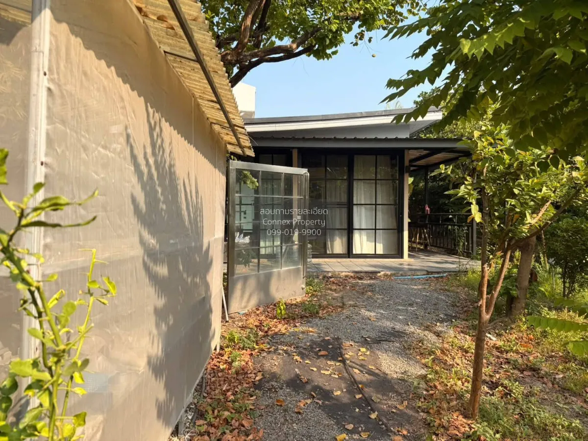 ขายที่ดิน พร้อมสิ่งปลูกสร้าง ประชาชื่น  บางเขน เมืองนนทบุรี นนทบุ