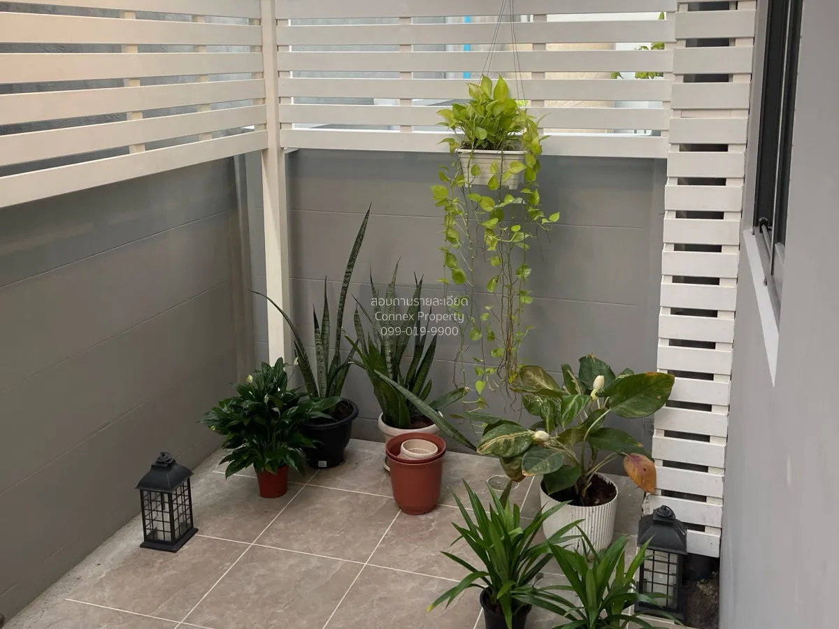 เช่าทาวน์เฮ้าส์/ทาวน์โฮม  พลีโน่ สุขุมวิท - บางนา 2 บางพลี บางพลี 4