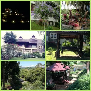 ขายรีสอร์ทชยานา ดูเพล็กซ์ วิวสวย ป่าซาง แม่จัน เชียงราย CX-146108