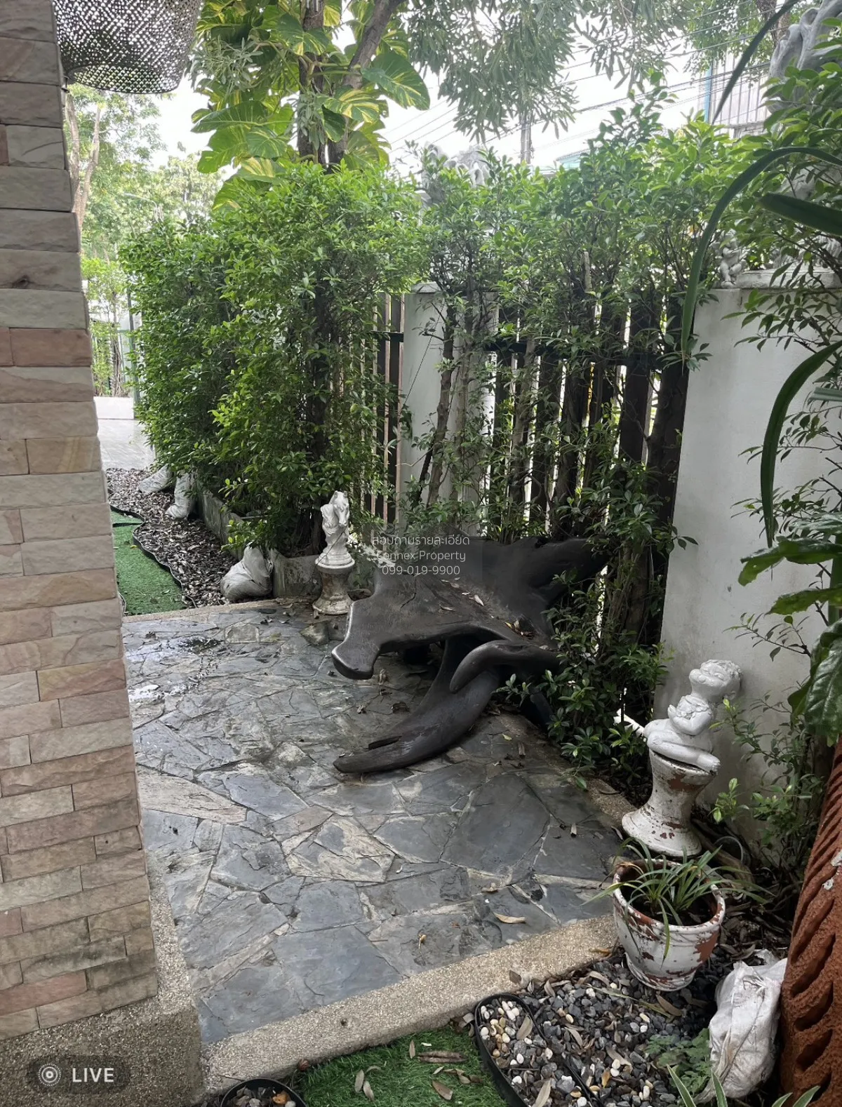 เช่าบ้าน  บ้านลาดพร้าว 1 วิวสวย ห้องมุม หน้ากว้าง รีโนเวทใหม่ MRT 3