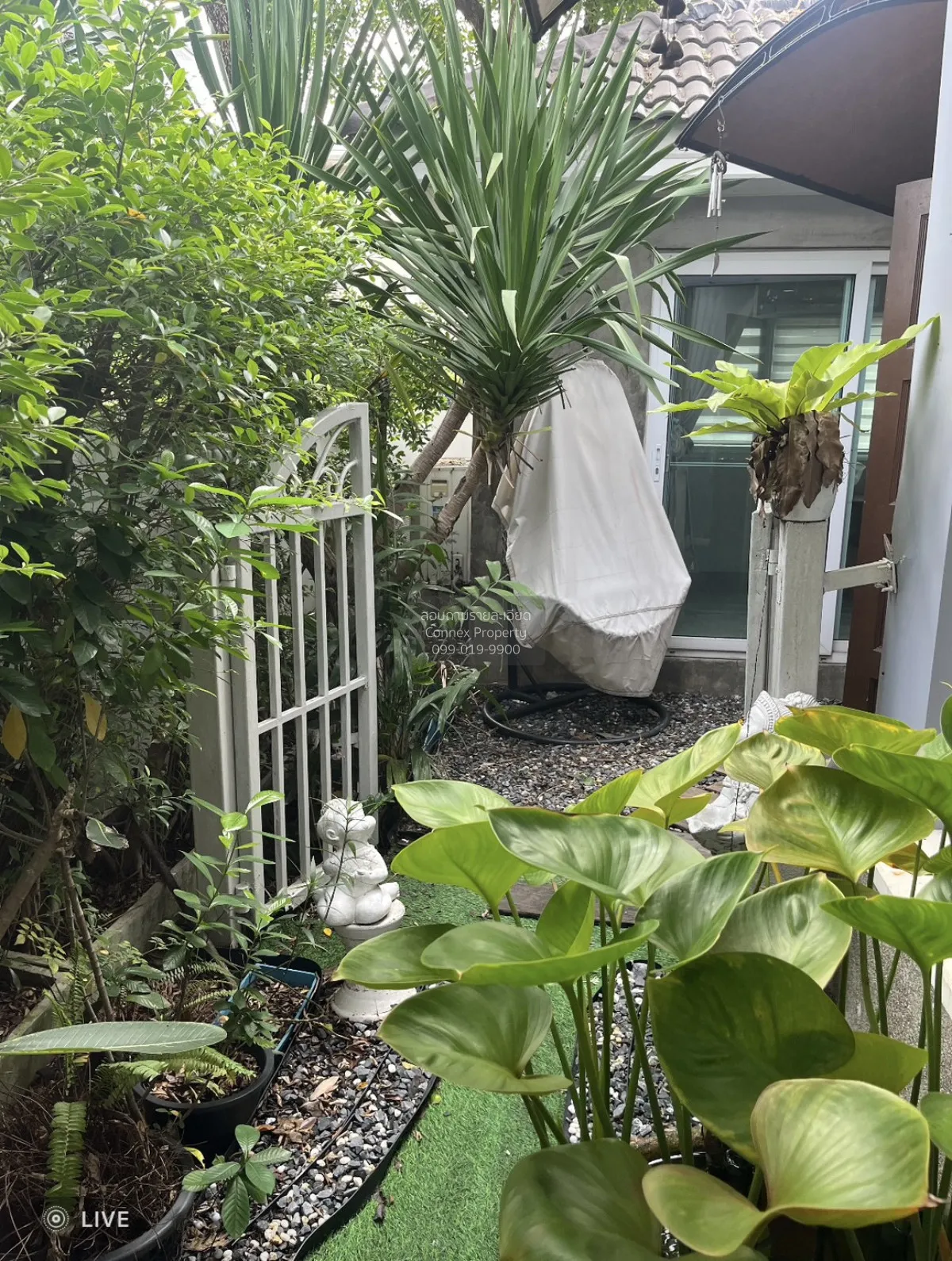 เช่าบ้าน  บ้านลาดพร้าว 1 วิวสวย ห้องมุม หน้ากว้าง รีโนเวทใหม่ MRT 4