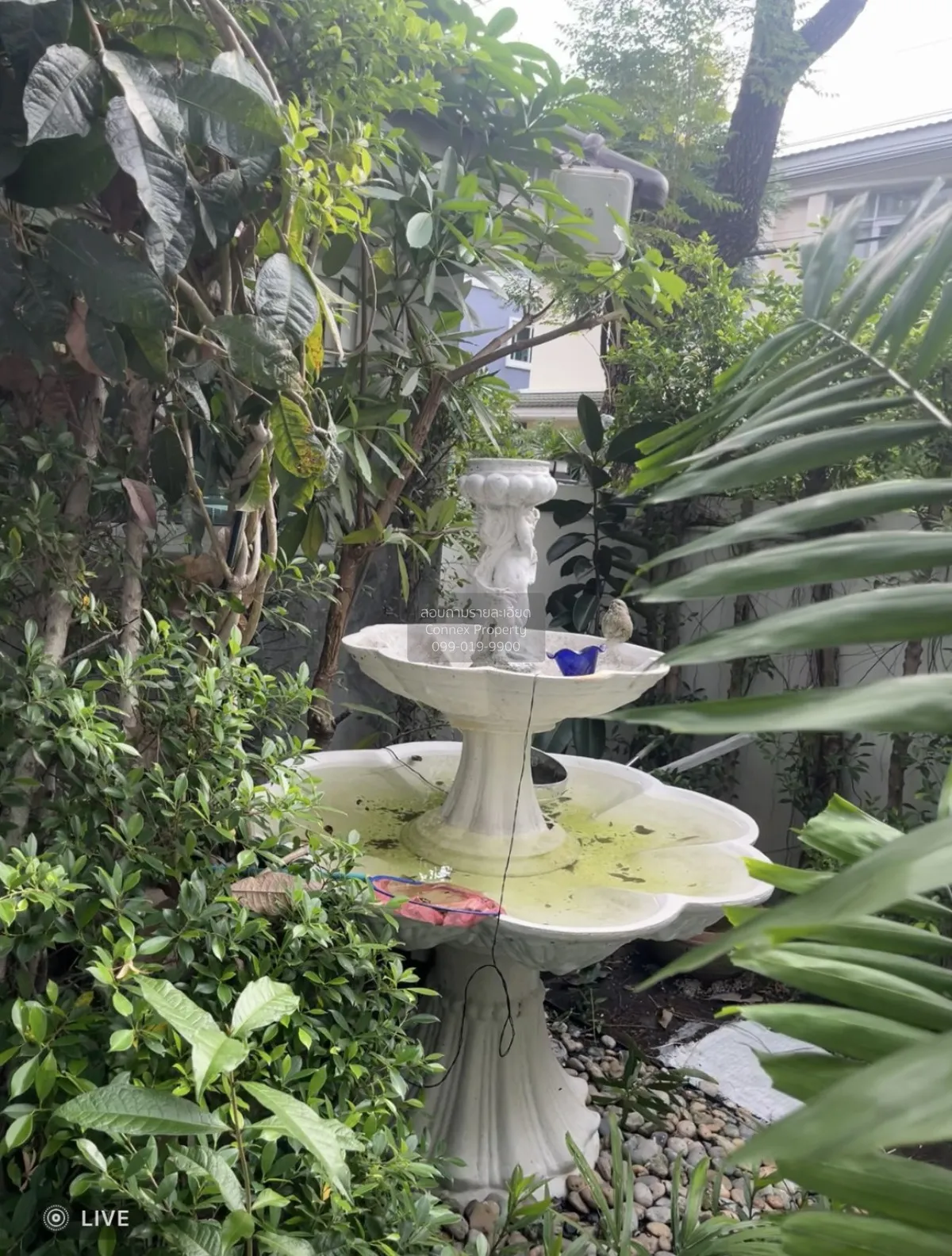 เช่าบ้าน  บ้านลาดพร้าว 1 วิวสวย ห้องมุม หน้ากว้าง รีโนเวทใหม่ MRT