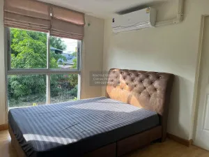 For Rent Condo , The Link Sukhumvit 50 , BTS-On Nut , Phra Khanong , Khlong Toei , Bangkok , CX-146473