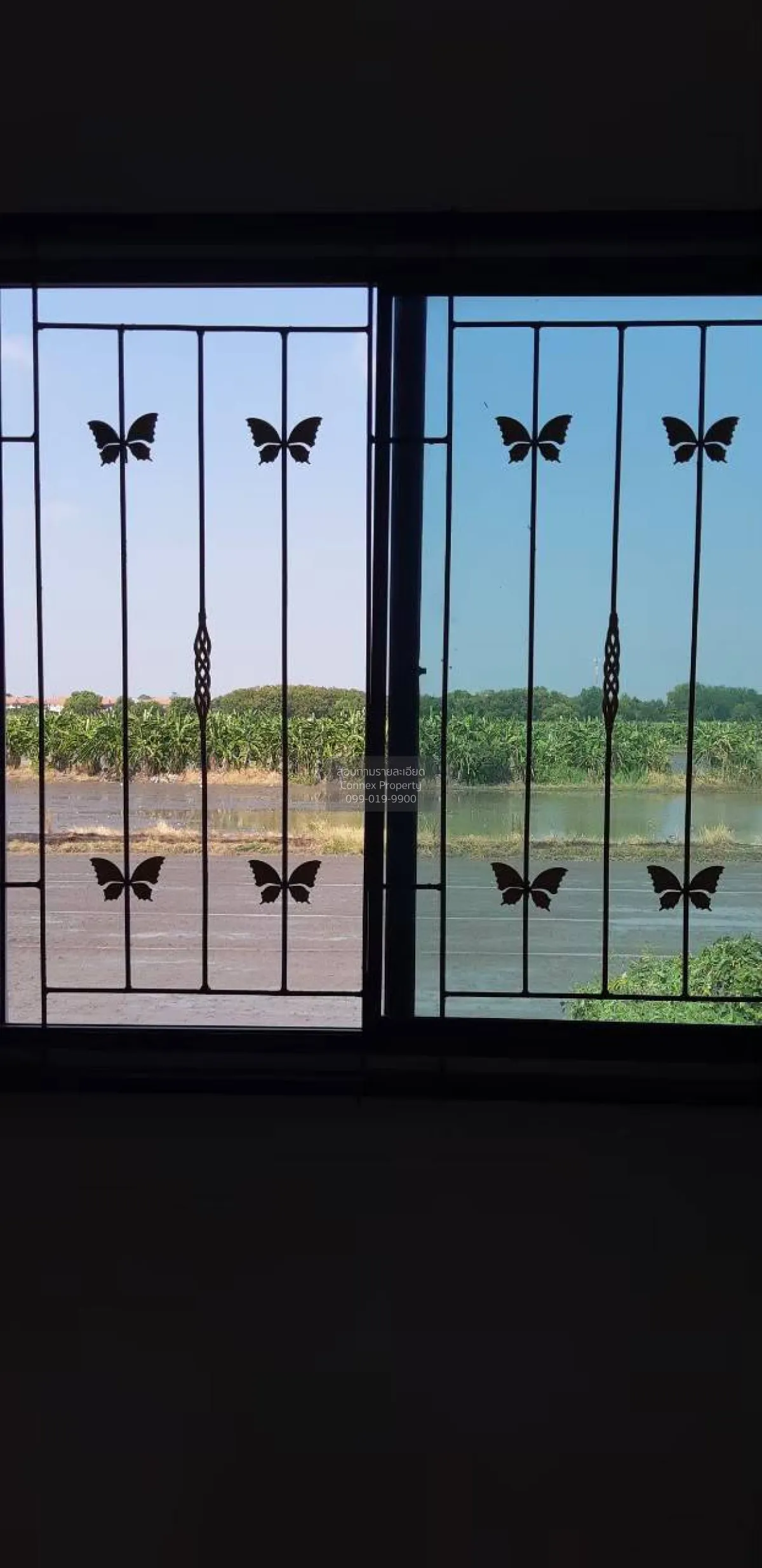 เช่าทาวน์เฮ้าส์/ทาวน์โฮม  บ้านพฤกษา 79 ลำลูกกา คลอง 3 ลาดสวาย ลำล