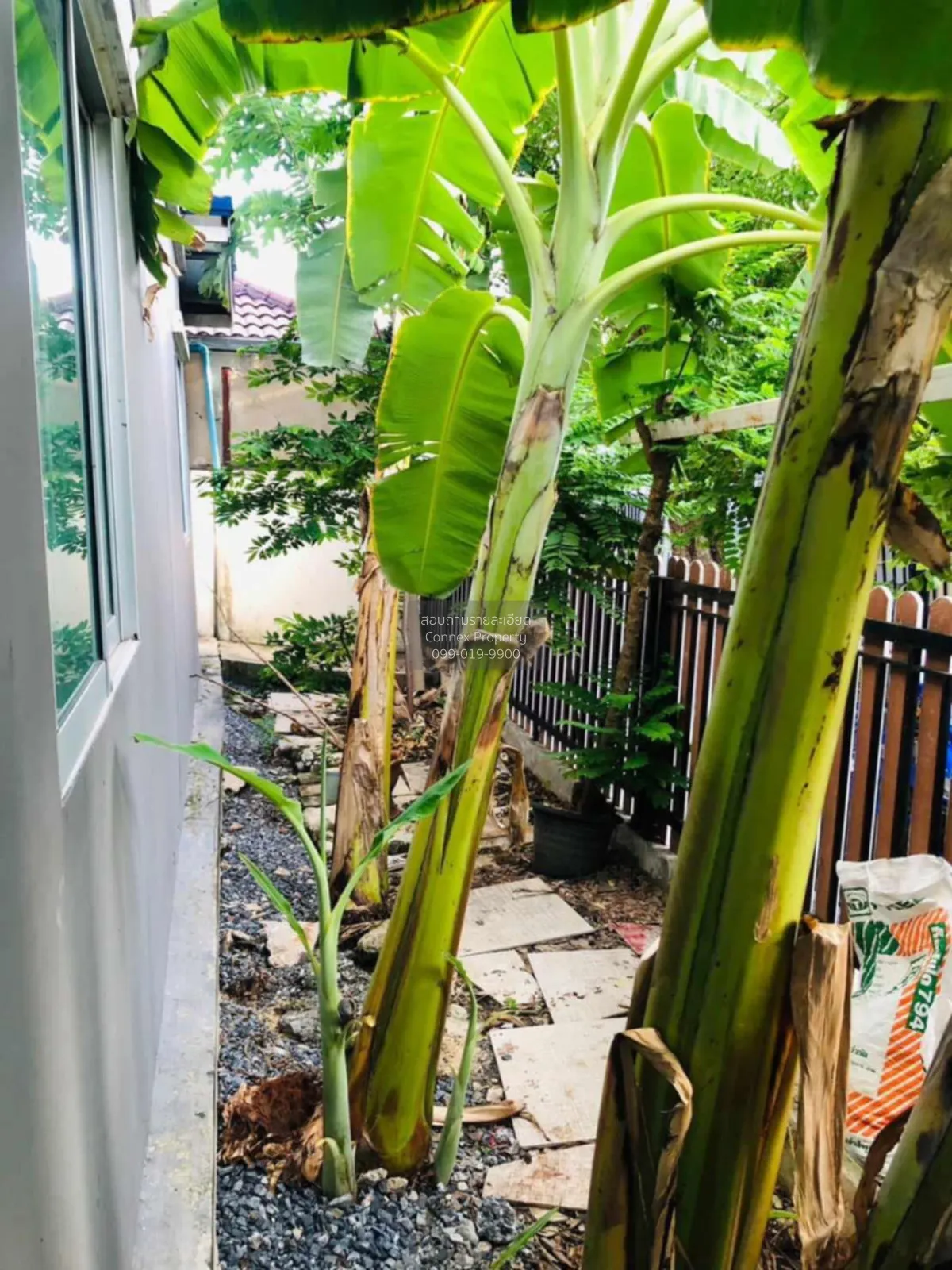 ขายทาวน์เฮ้าส์/ทาวน์โฮม  พฤกษาวิลล์ 60 ลาดกระบัง - อ่อนนุช ห้องมุ