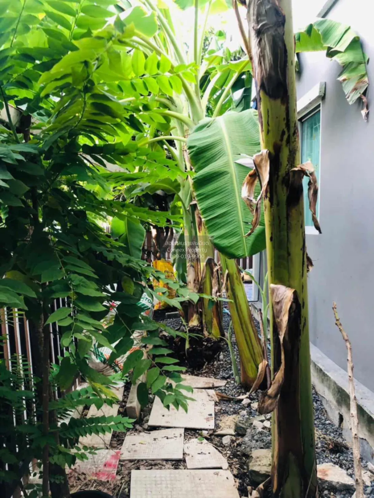 ขายทาวน์เฮ้าส์/ทาวน์โฮม  พฤกษาวิลล์ 60 ลาดกระบัง - อ่อนนุช ห้องมุ