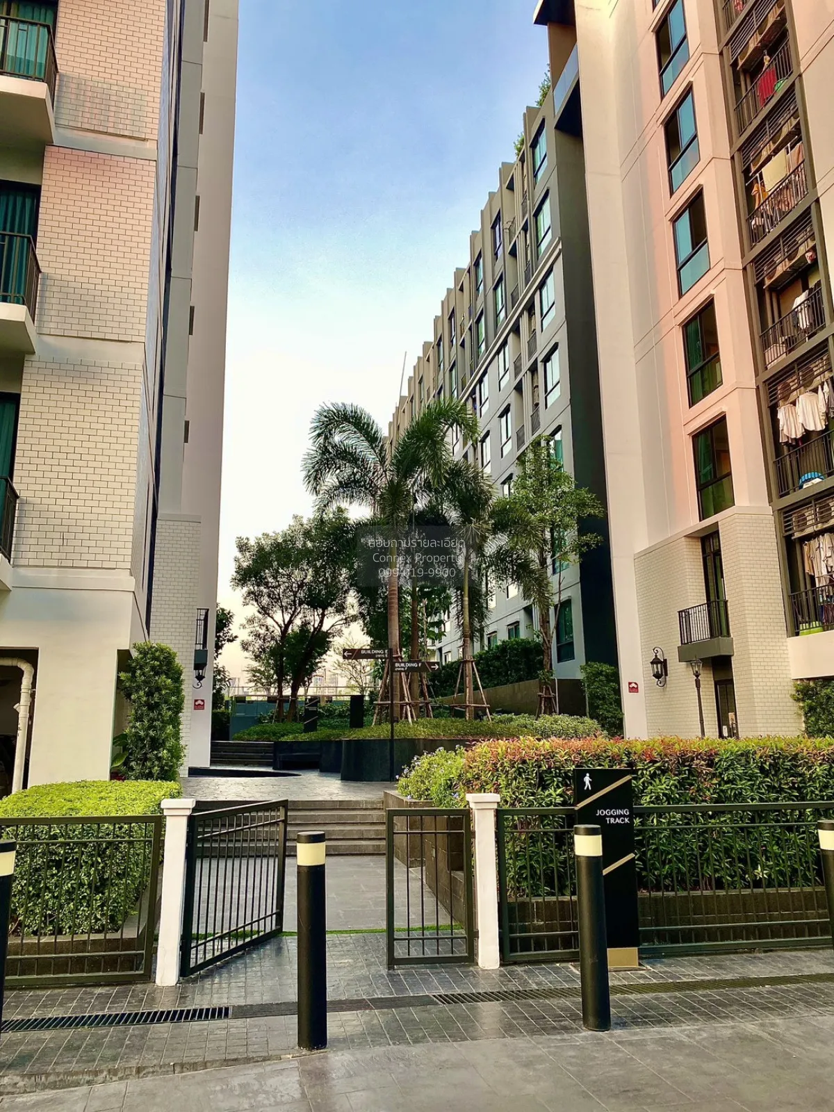 เช่าคอนโด  น็อตติ้ง ฮิลล์ สุขุมวิท 105 ห้องมุม BTS-แบริ่ง บางนา เ 4