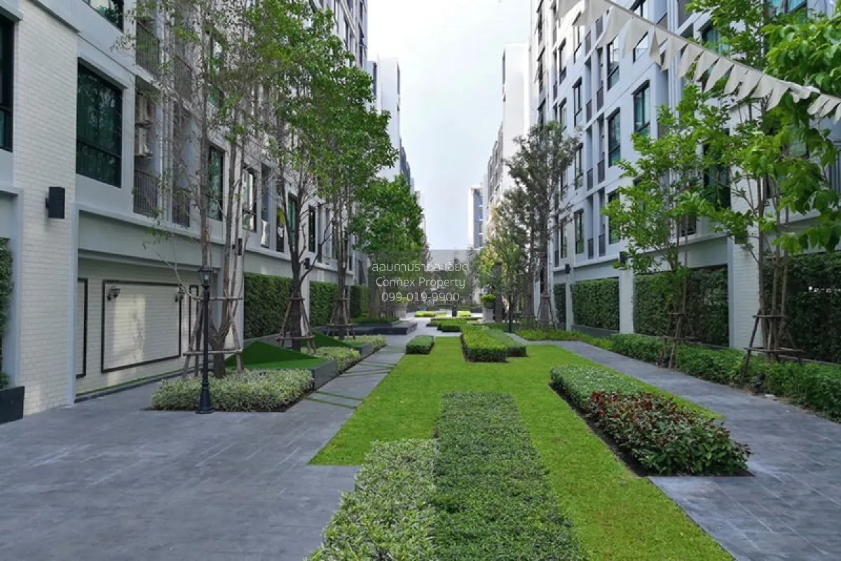 เช่าคอนโด  น็อตติ้ง ฮิลล์ สุขุมวิท 105 ห้องมุม BTS-แบริ่ง บางนา เ