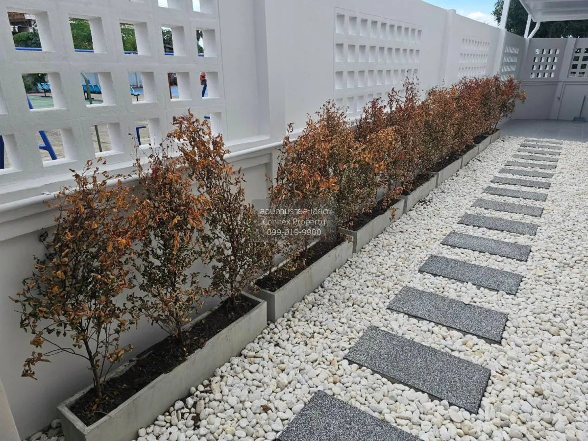 ขายทาวน์เฮ้าส์/ทาวน์โฮม  บ้านจิตรณรงค์ 21 หน้ากว้าง รีโนเวทใหม่ ห 3