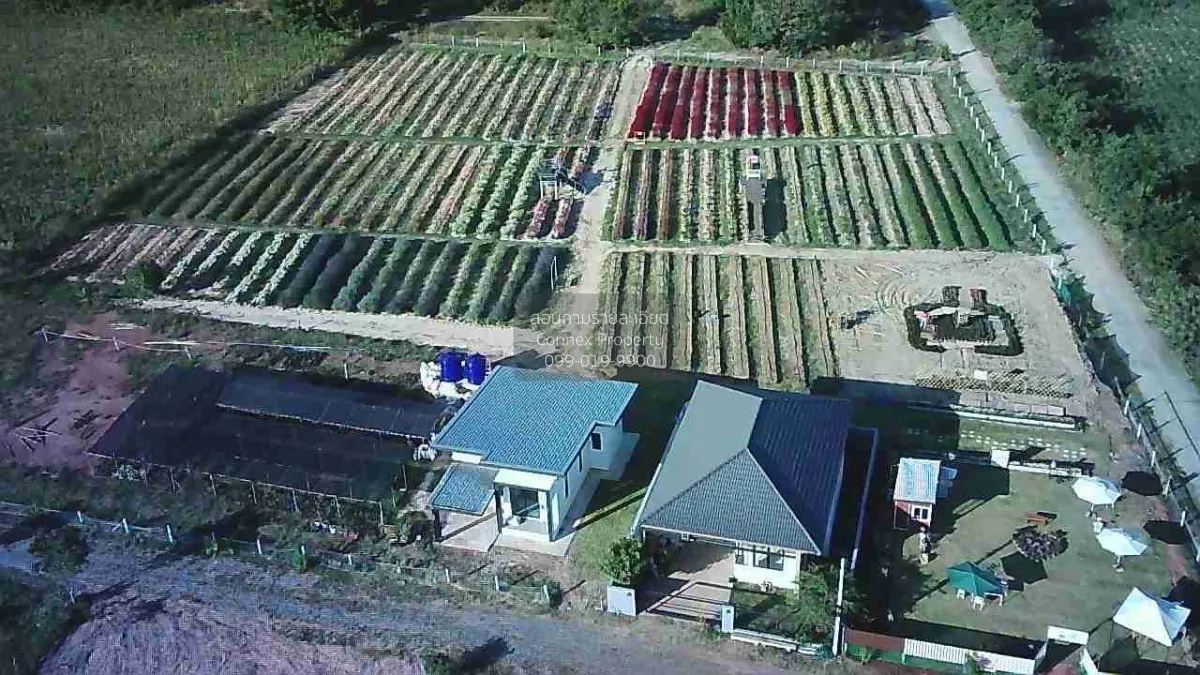 ขายที่ดินพร้อมสิ่งปลูกสร้าง  อำเภอเมืองโคราช เชื่อมถนนมิตรภาพ-บาย 1