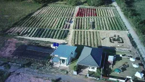 ขายที่ดินพร้อมสิ่งปลูกสร้าง  อำเภอเมืองโคราช เชื่อมถนนมิตรภาพ-บายพาส 3 จอหอ เมืองนครราชสีมา นครราชสีมา CX-147700