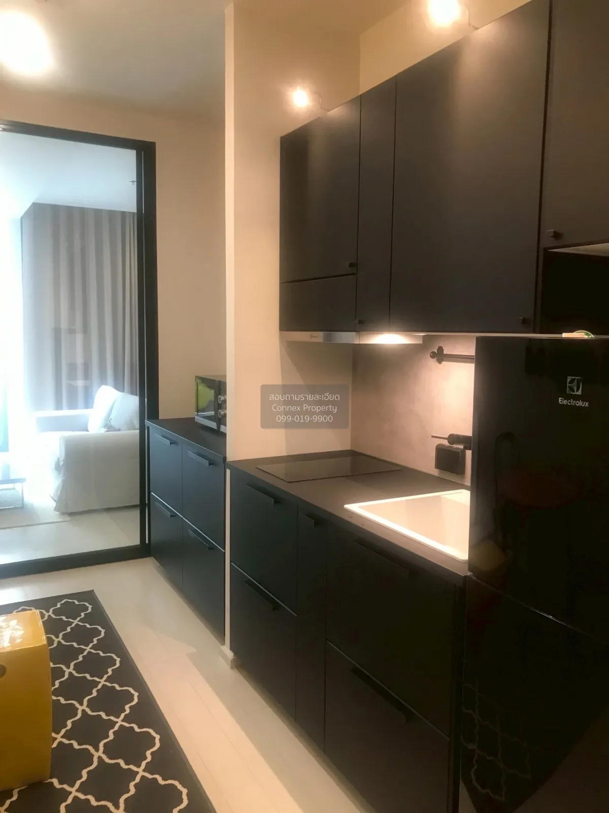 FOR RENT condo , Noble Ploenchit , BTS-Phloen Chit , Lumpini , Pa