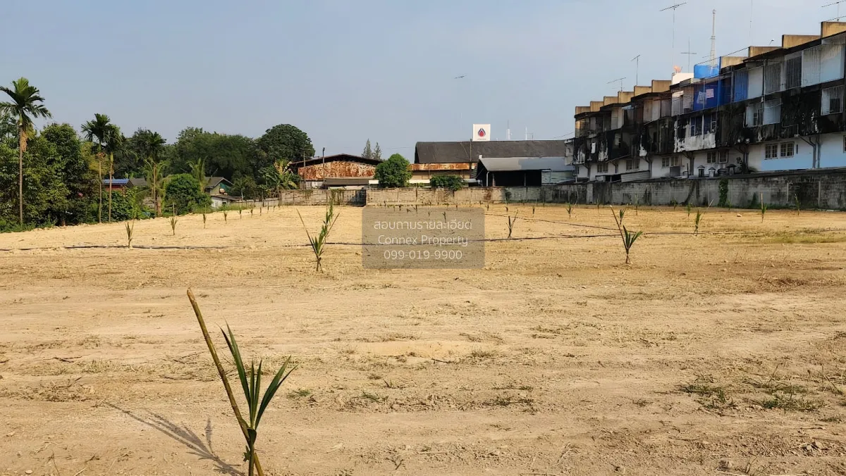 For Sale Land for sale in Ratchaburi, Lum Din Subdistrict, in the