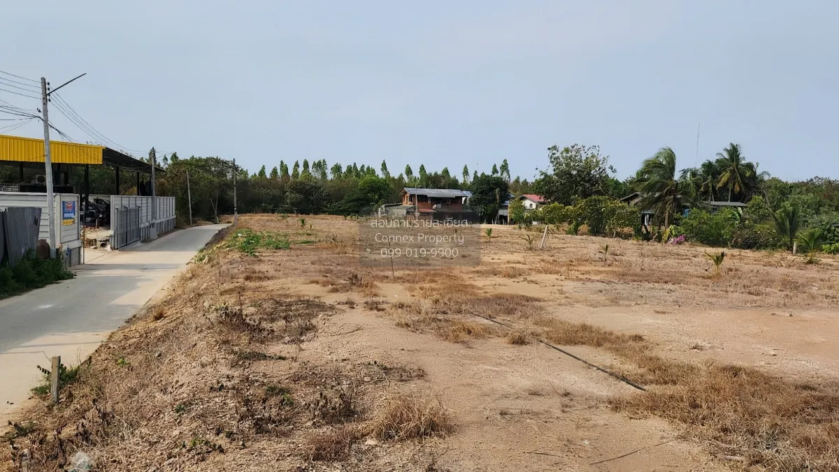 For Sale Land for sale in Ratchaburi, Lum Din Subdistrict, in the