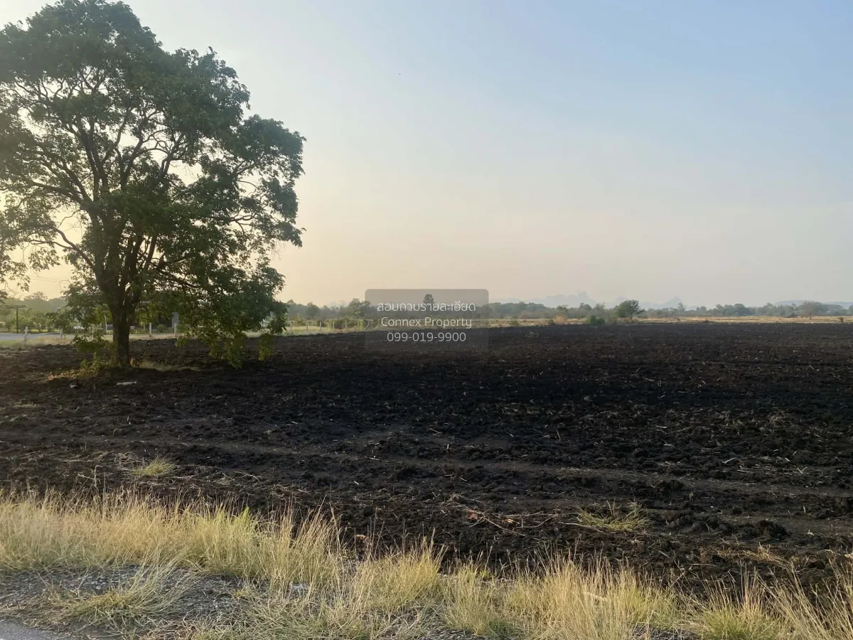 ขายที่ดินเปล่า  หนองแก พระพุทธบาท สระบุรี CX-148106 1