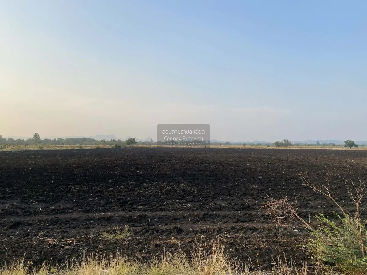 ขายที่ดินเปล่า  หนองแก พระพุทธบาท สระบุรี CX-148106 3