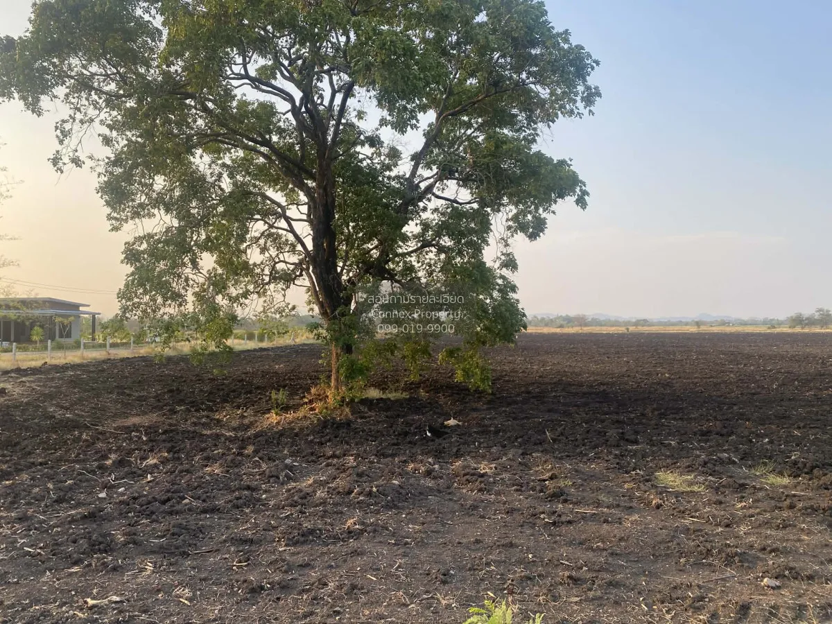 ขายที่ดินเปล่า  หนองแก พระพุทธบาท สระบุรี CX-148106 4