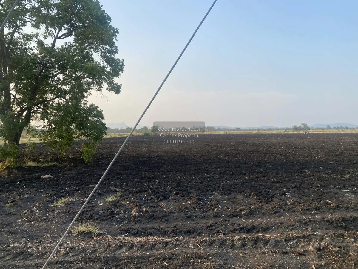 ขายที่ดินเปล่า  หนองแก พระพุทธบาท สระบุรี CX-148106