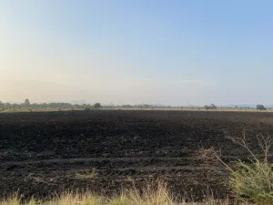 7 rai 63 square wah of vacant land in Saraburi