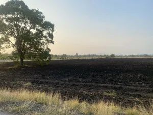 8 rai 16 square wah of vacant land.