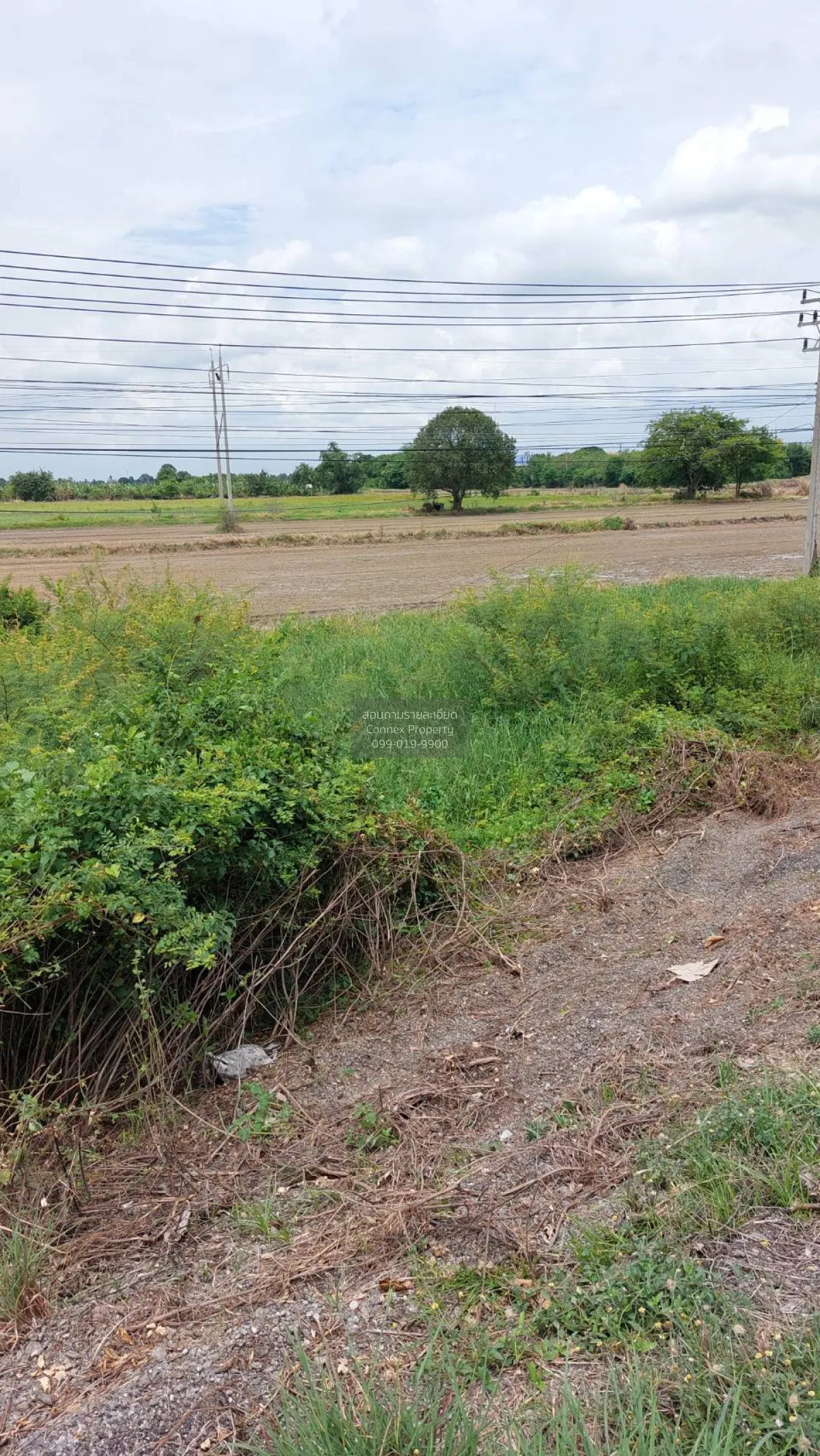 For Sale Land on Asia Road , Chorakhe Rong , Chaiyo , Ang Thong , 4