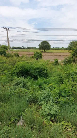 ขายที่ดินเปล่าติดถนนเอเชีย จรเข้ร้อง ไชโย อ่างทอง CX-148182