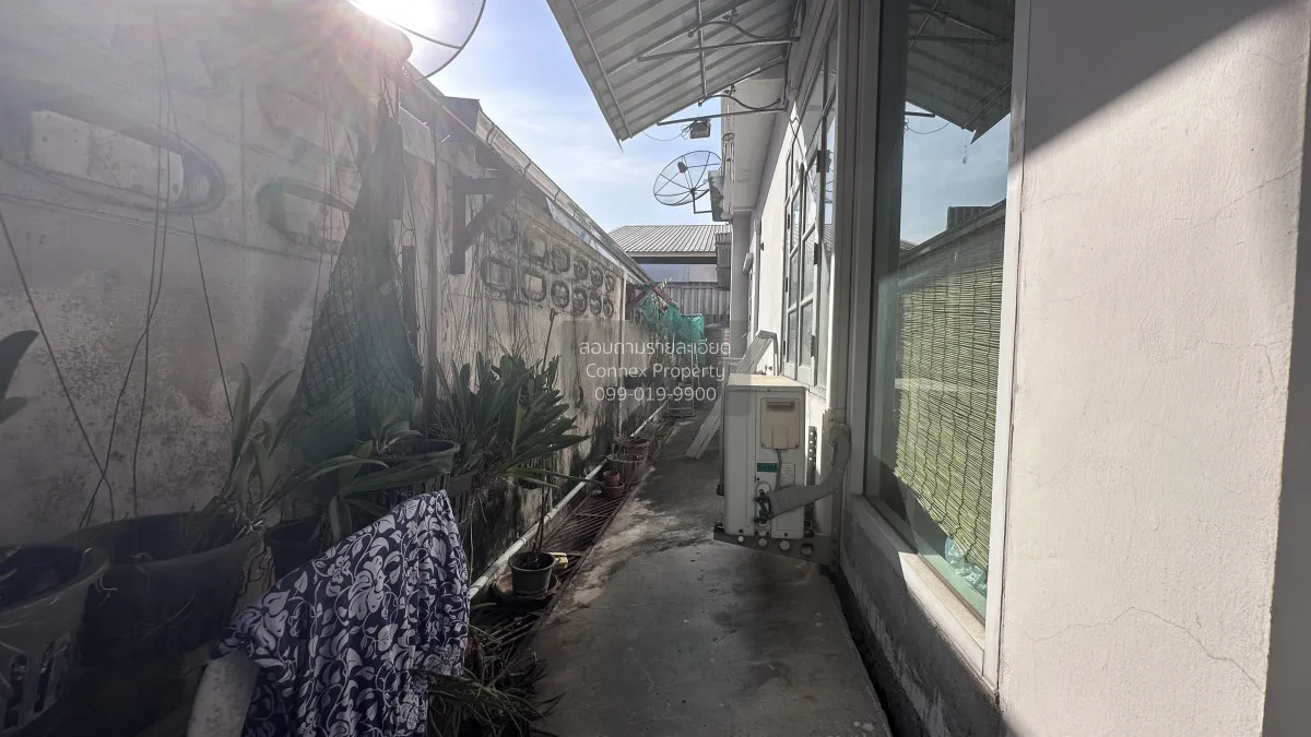 ขายบ้านเดี่ยว หน้ากว้าง บางนา เขต บางนา กรุงเทพ CX-148313