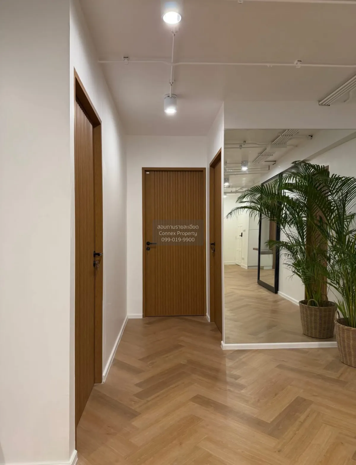 เช่าคอนโด  ริชมอนด์ พาเลซ รีโนเวทใหม่ คลองตันเหนือ เขต วัฒนา กรุง