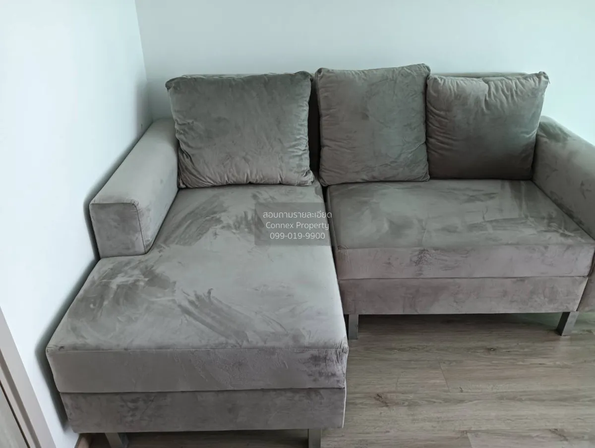 For Rent Condo , Serio Sukhumvit 50 , BTS-On Nut , Phra Khanong ,