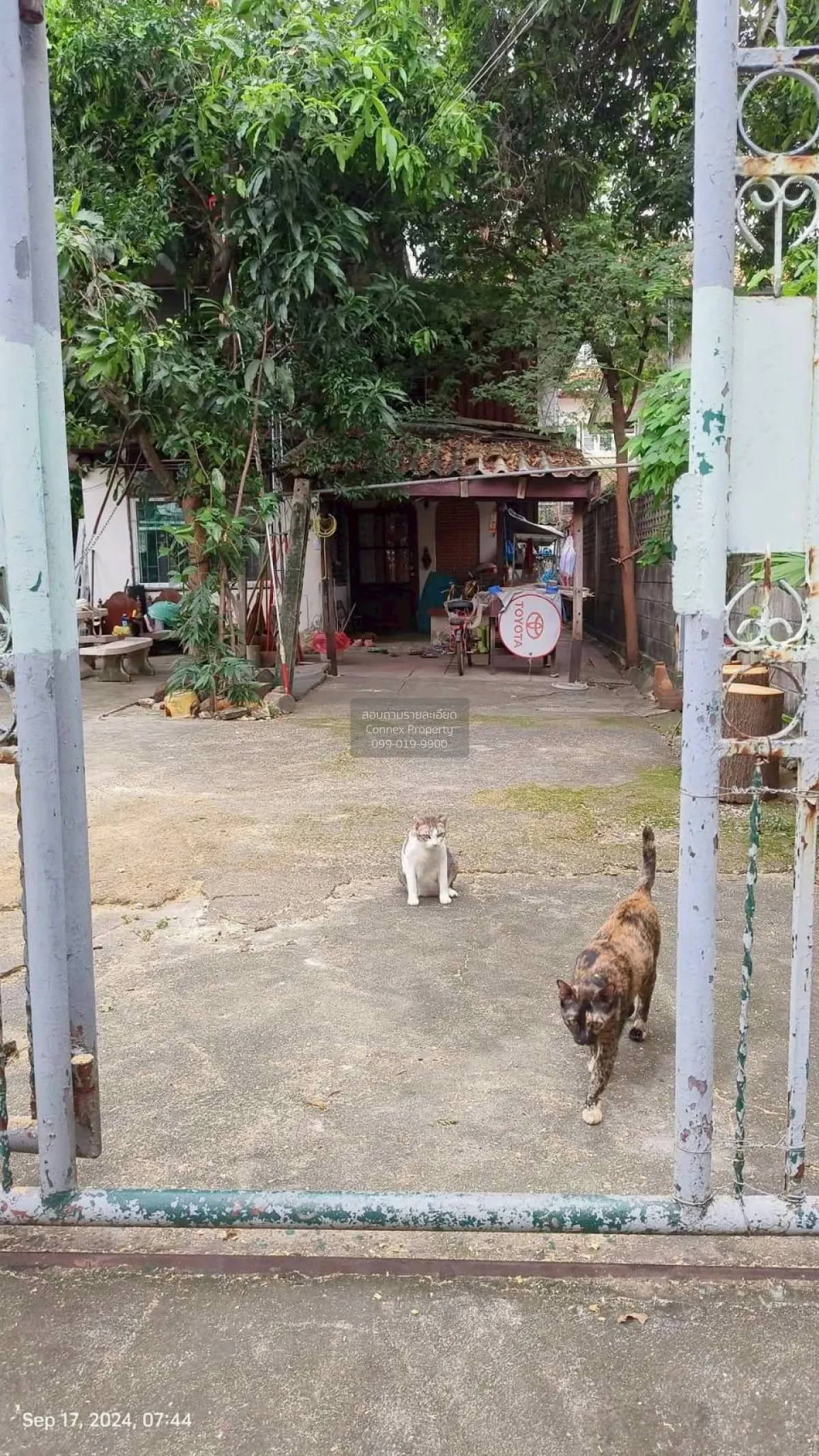 ขายบ้านลาดพร้าว 41 ลาดพร้าว เขต ลาดพร้าว กรุงเทพ CX-148673 2