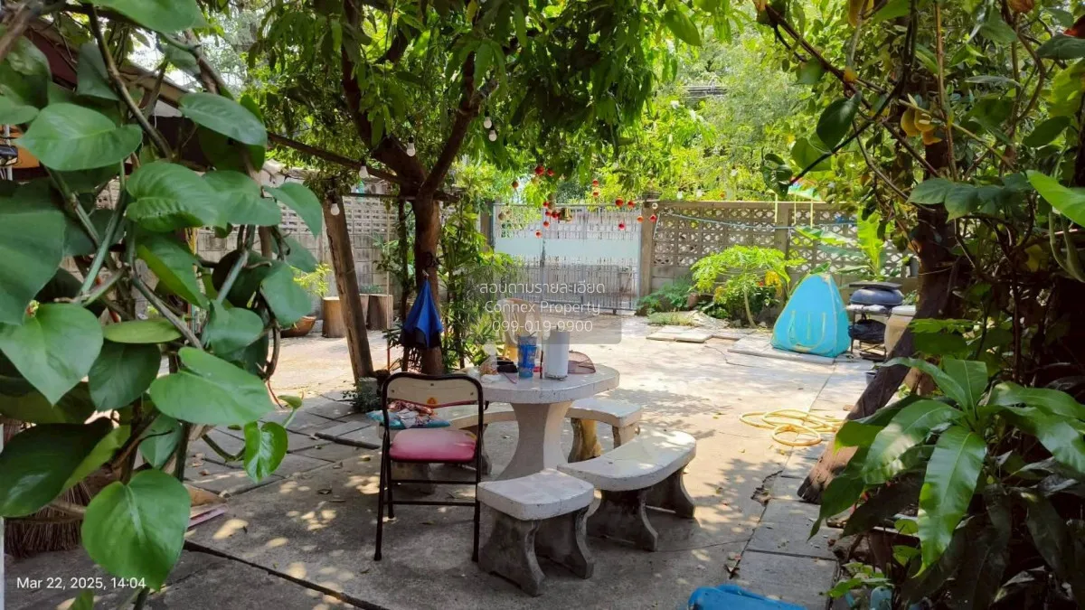 ขายบ้านลาดพร้าว 41 ลาดพร้าว เขต ลาดพร้าว กรุงเทพ CX-148673