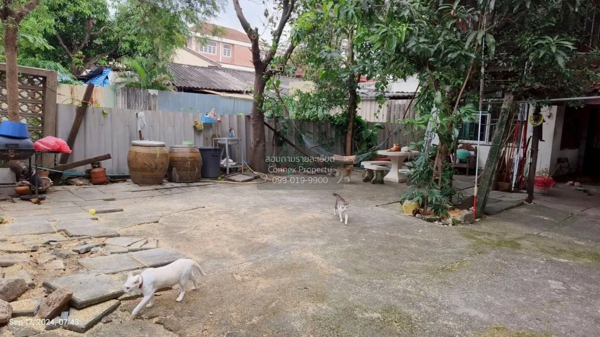 ขายบ้านลาดพร้าว 41 ลาดพร้าว เขต ลาดพร้าว กรุงเทพ CX-148673