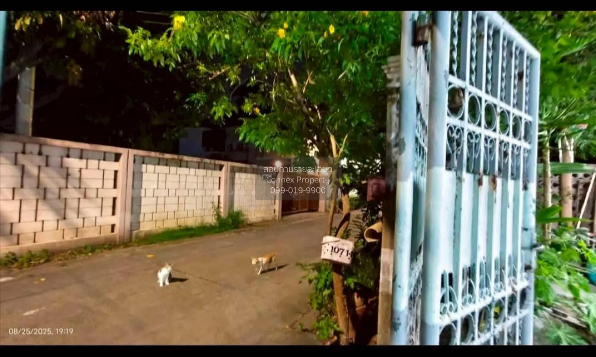 ขายบ้านลาดพร้าว 41 ลาดพร้าว เขต ลาดพร้าว กรุงเทพ CX-148673