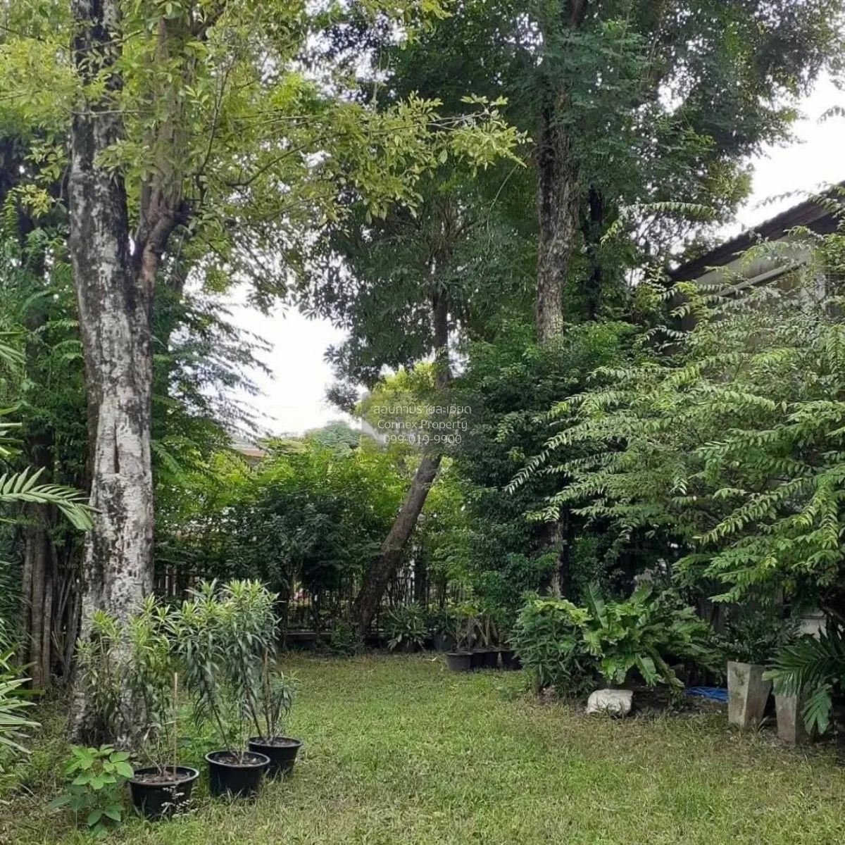 เช่าบ้าน  สัมมากร รามคำแหง 112 สะพานสูง เขต สะพานสูง กรุงเทพ CX-1 4