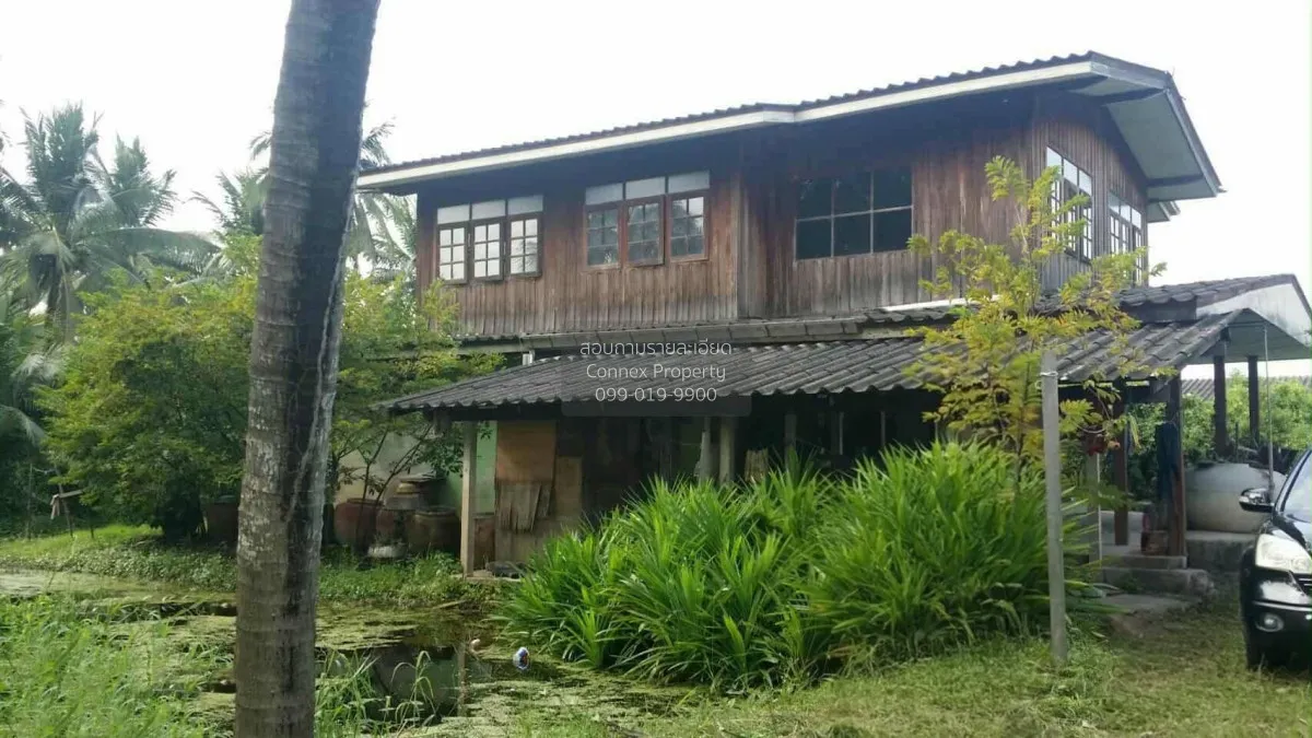 ขายที่ดินเปล่า ถนนประชาร่วมใจแถว วัดไร่ขิง ไร่ขิง สามพราน นครปฐม  1