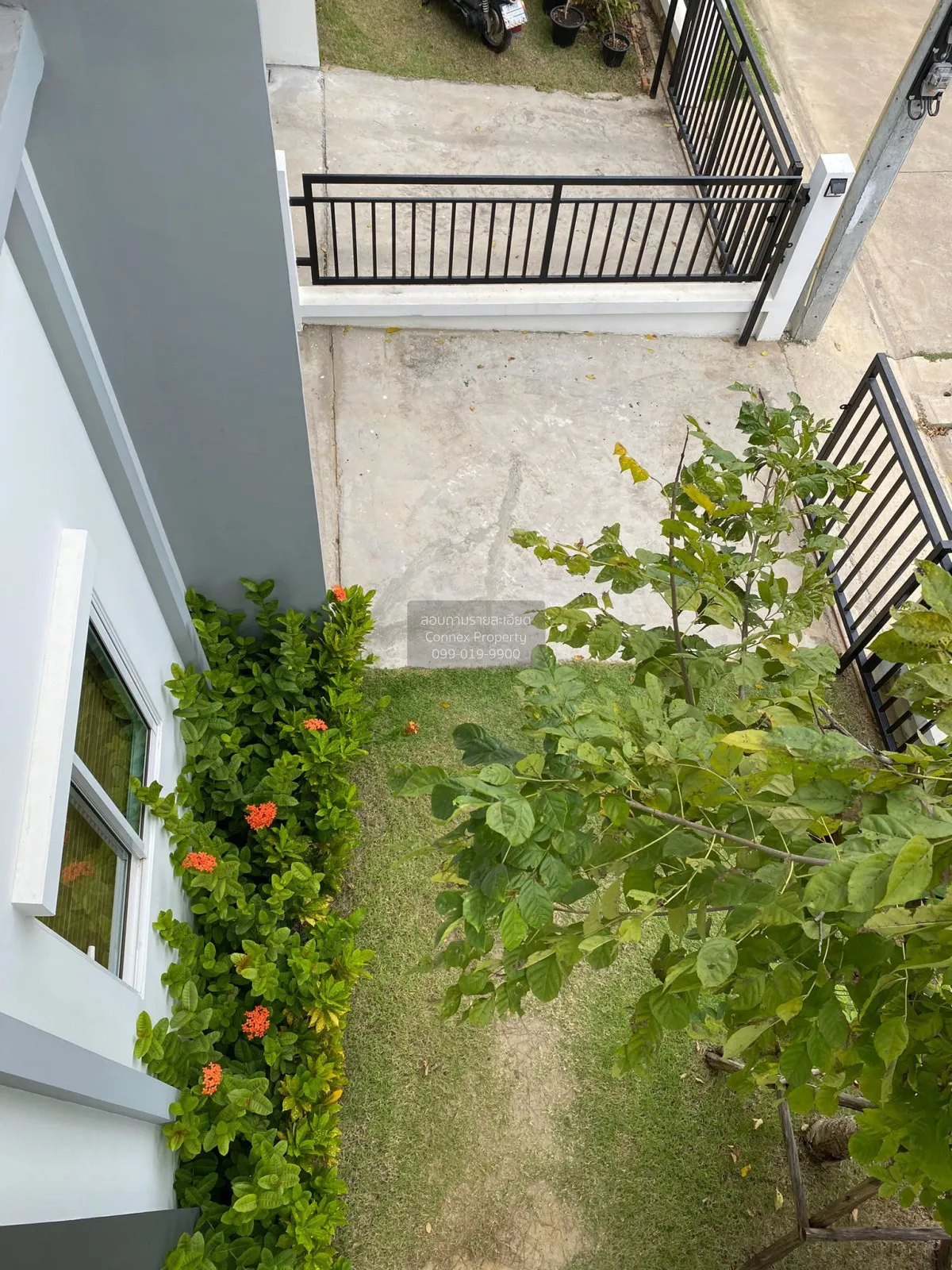 ขายบ้าน  แลนซีโอ คริป ประชาอุทิศ-สุขสวัสดิ์ บ้านคลองสวน พระสมุทรเ