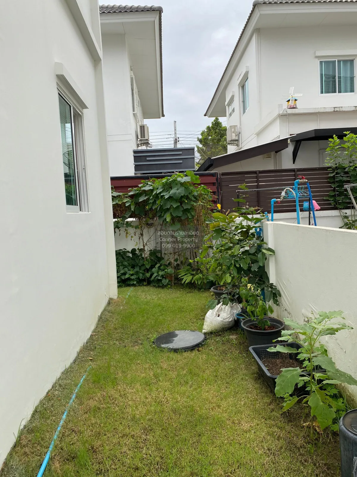 ขายบ้าน  แลนซีโอ คริป ประชาอุทิศ-สุขสวัสดิ์ บ้านคลองสวน พระสมุทรเ