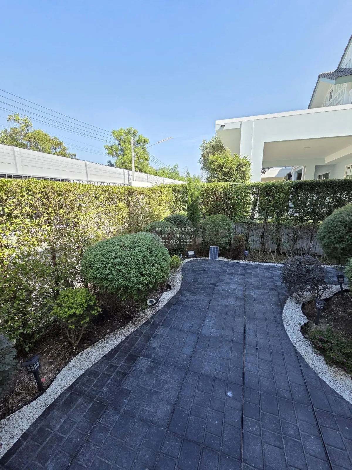 hum Thani , CX-149062 3