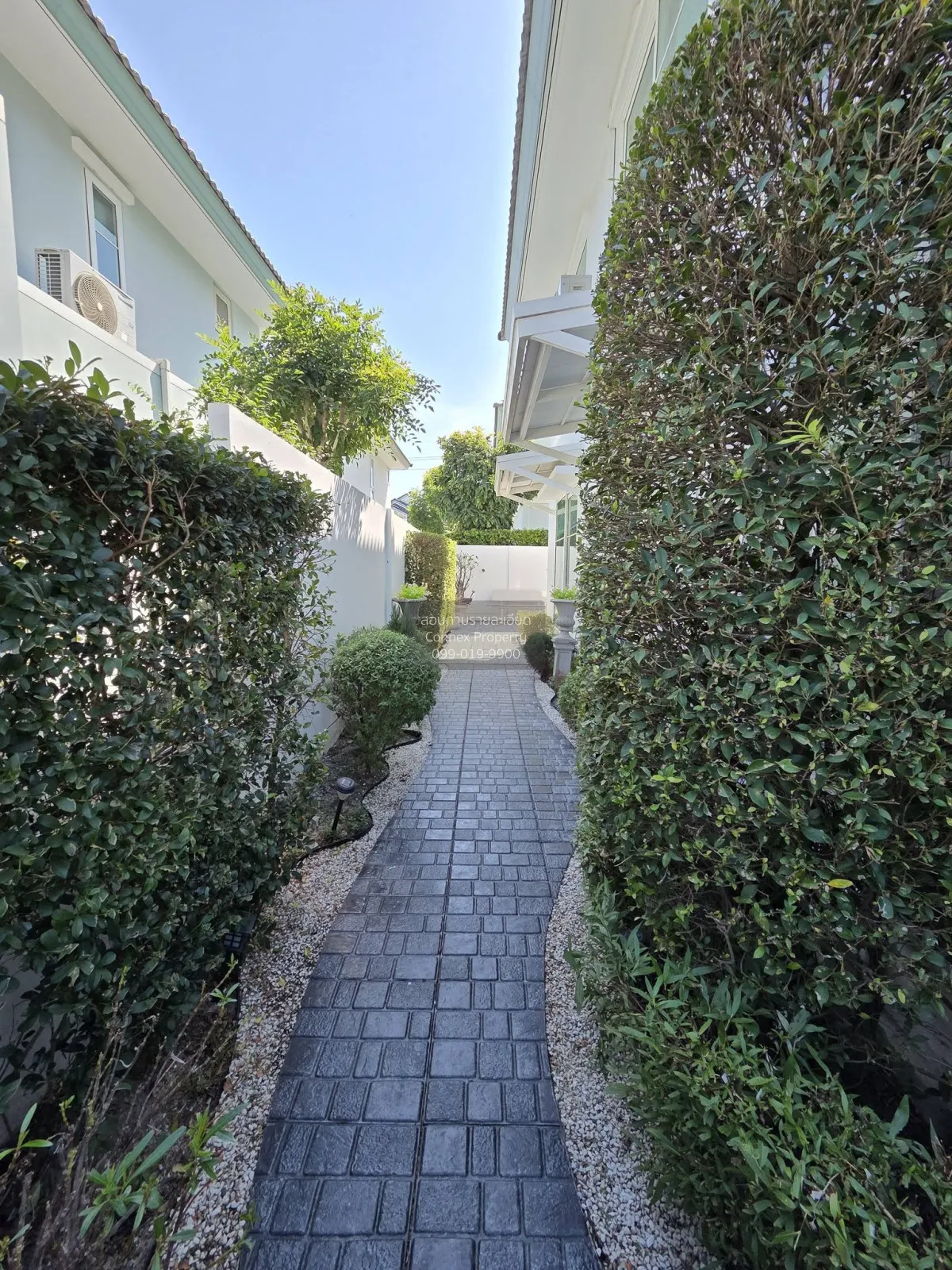 hum Thani , CX-149062