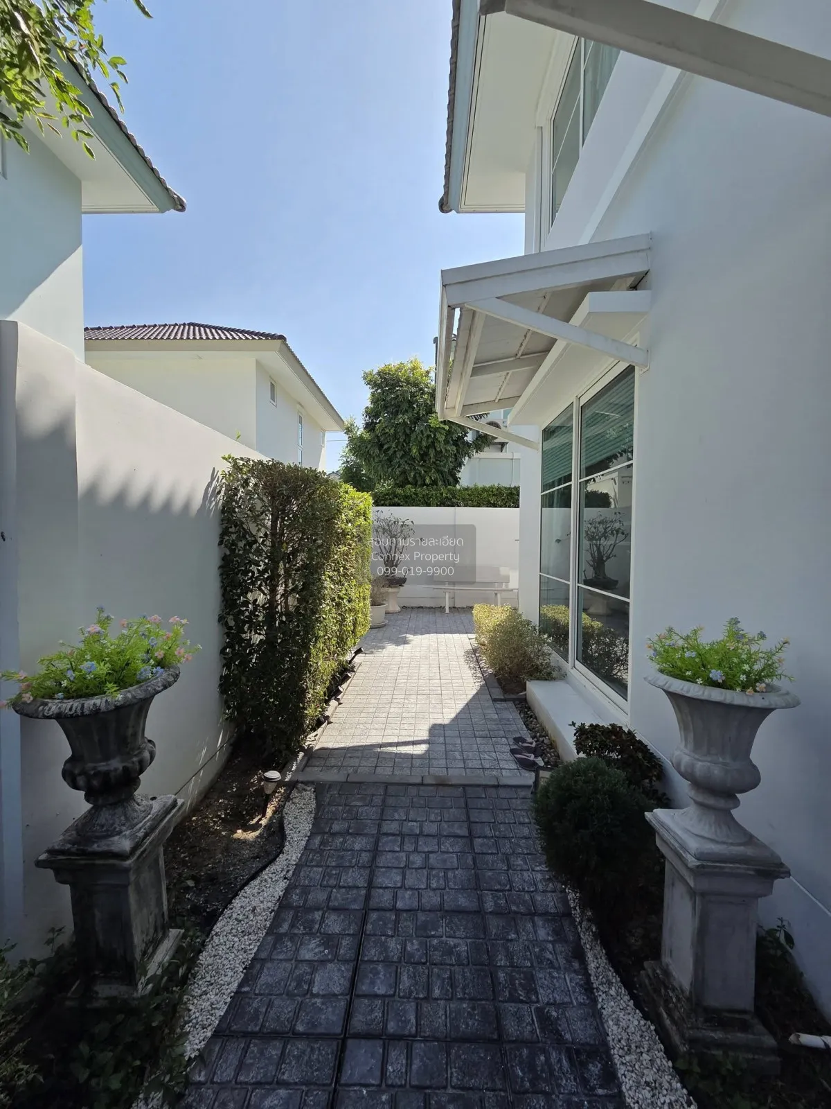 hum Thani , CX-149062