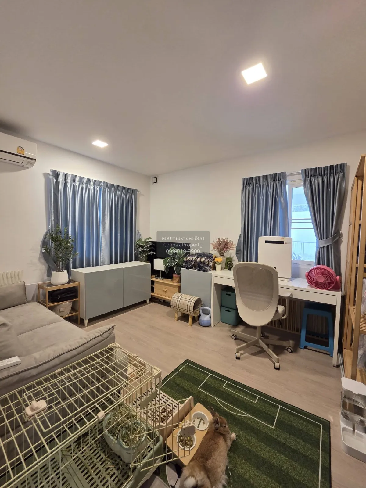 hum Thani , CX-149062