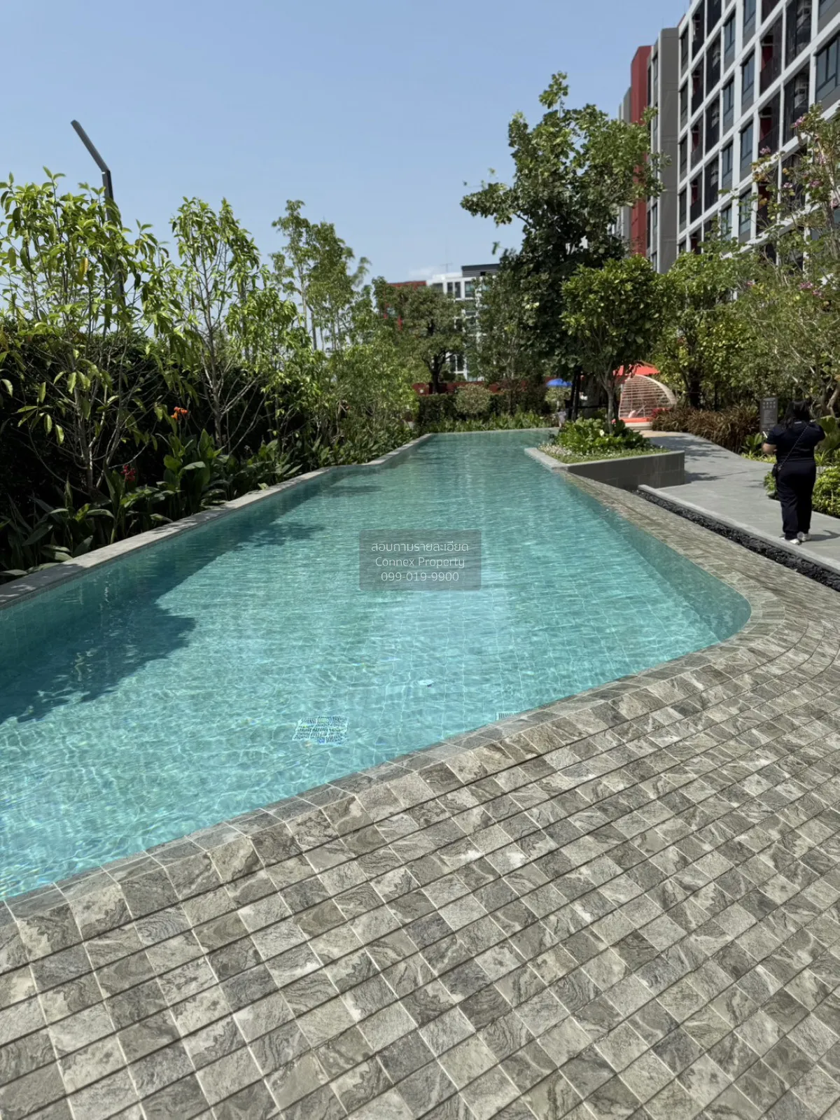 เช่าคอนโด  ดีคอนโด วิวิด รังสิต คลองหนึ่ง คลองหลวง ปทุมธานี CX-14