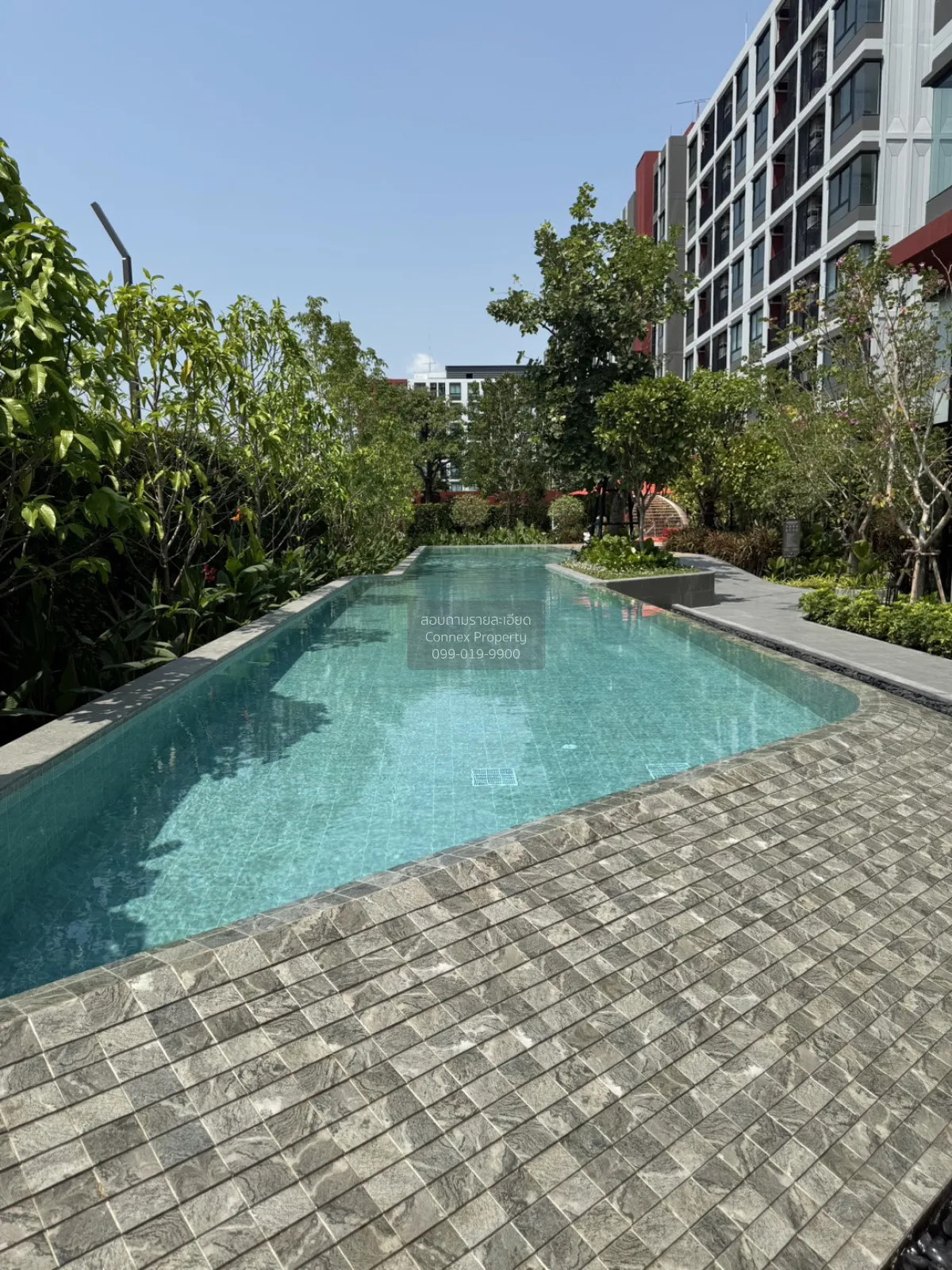 เช่าคอนโด  ดีคอนโด วิวิด รังสิต คลองหนึ่ง คลองหลวง ปทุมธานี CX-14