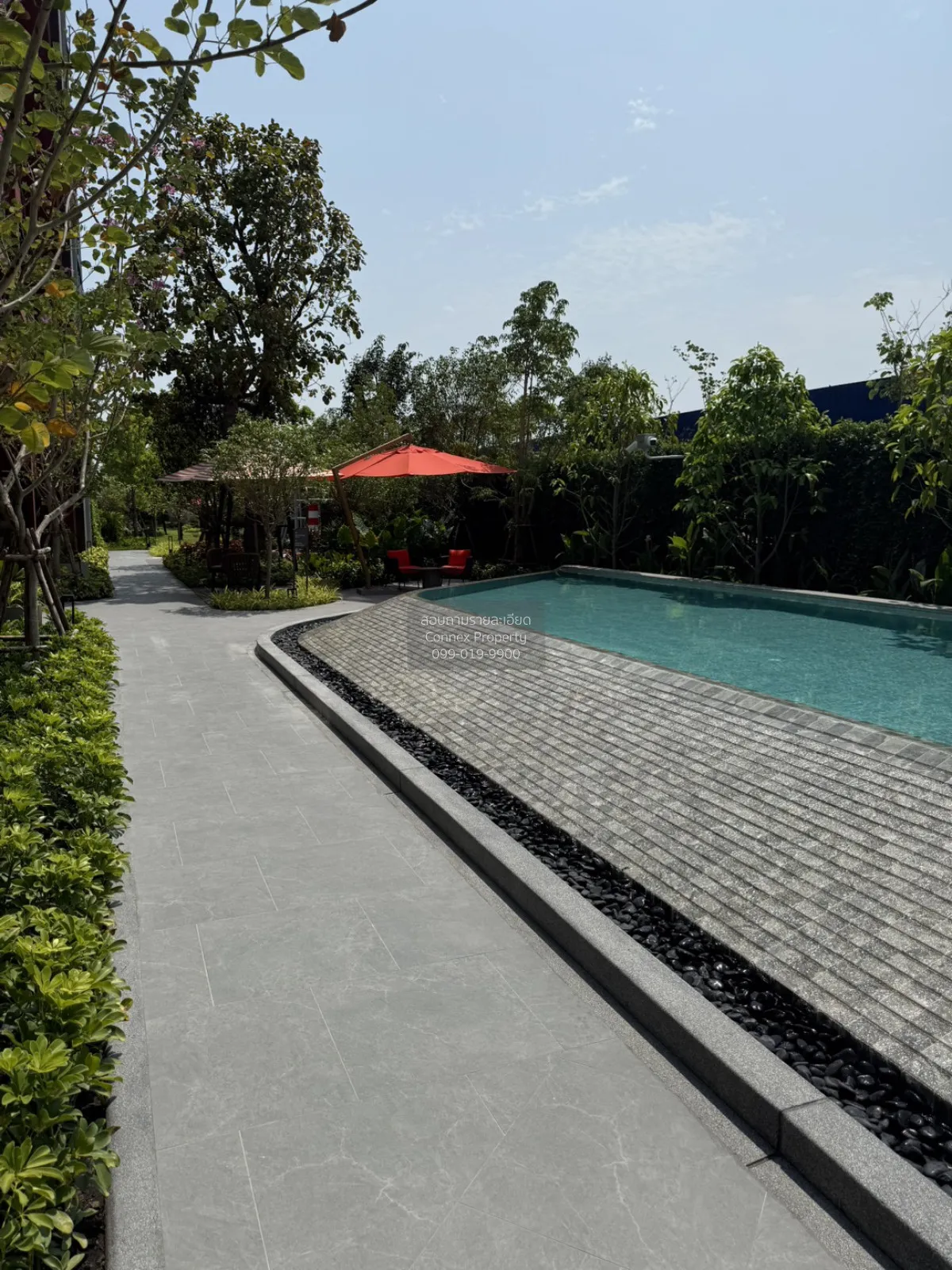 เช่าคอนโด  ดีคอนโด วิวิด รังสิต คลองหนึ่ง คลองหลวง ปทุมธานี CX-14