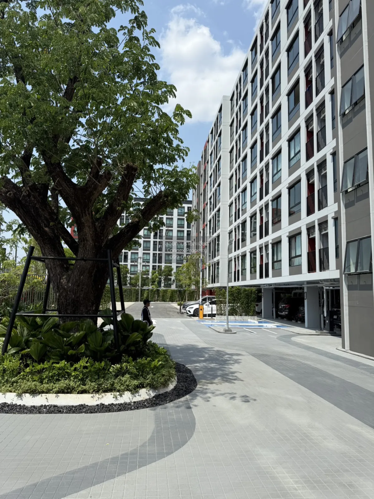 เช่าคอนโด  ดีคอนโด วิวิด รังสิต คลองหนึ่ง คลองหลวง ปทุมธานี CX-14