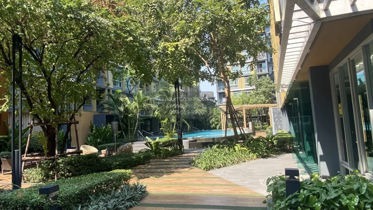 For Rent Condo , Metro Luxe Rama 4 , BTS-Ekkamai , Phra Khanong ,